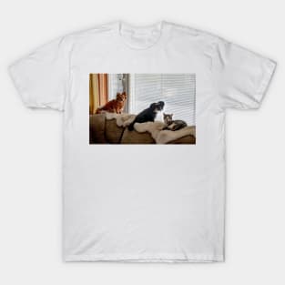 Pets at the Window T-Shirt